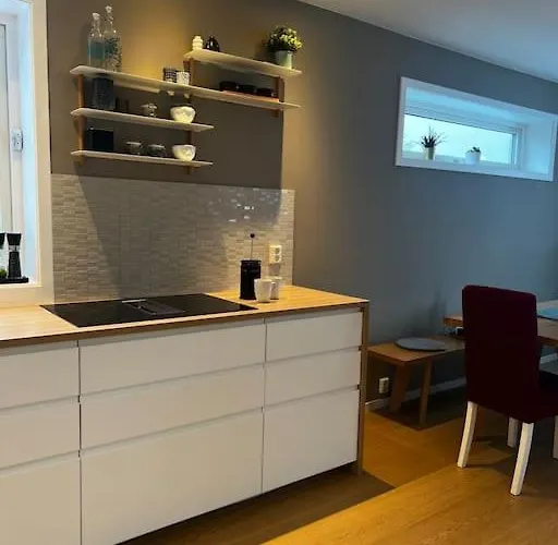 Flott Enebolig, Med 3 Soverom Og 2 Bad, Med Kort Vei Til Sentrum Tatil Evi *