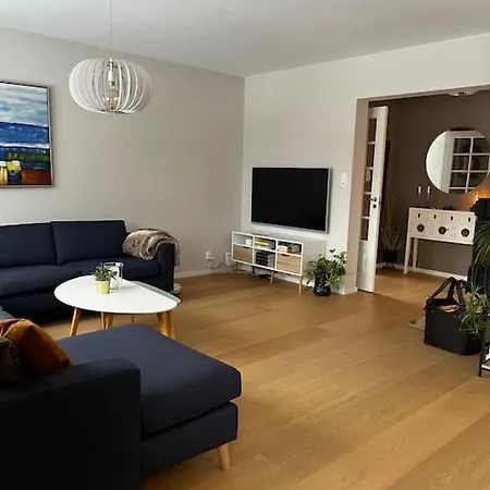Feriehus Flott Enebolig, Med 3 Soverom Og 2 Bad, Med Kort Vei Til Sentrum Oslo