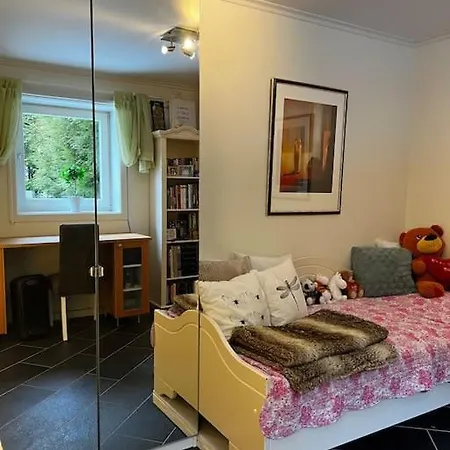 Flott Enebolig, Med 3 Soverom Og 2 Bad, Med Kort Vei Til Sentrum Feriehus *