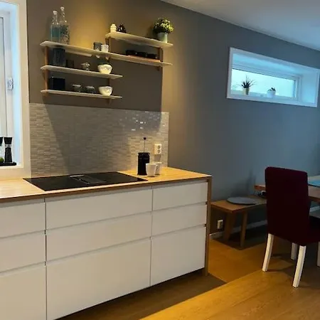Flott Enebolig, Med 3 Soverom Og 2 Bad, Med Kort Vei Til Sentrum Ferienhaus *